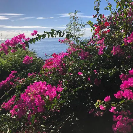 Apartament Ocean Dream Apartment- Air Condition Funchal (Madeira)