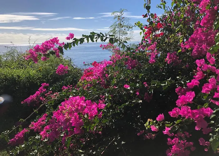 公寓 Ocean Dream Apartment- Air Condition 丰沙尔