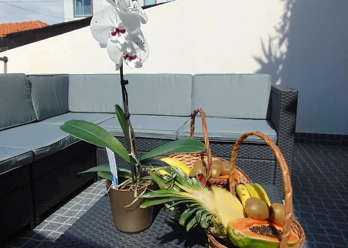 Ocean Dream Apartment- Air Condition *