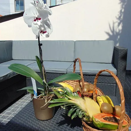 Ocean Dream Apartment- Air Condition *